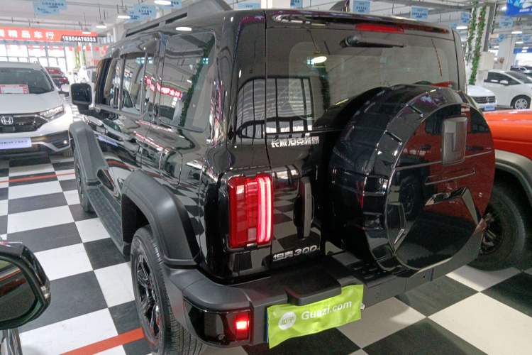Used Tank 300 2024 2.0T Conqueror Exterior 2