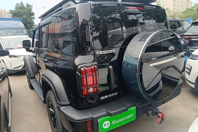 Used Tank 300 2024 2.0T Conqueror Exterior 2