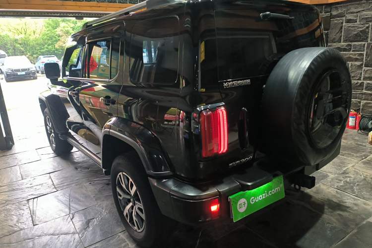 Used Tank 300 2024 2.0T Crosser Exterior 2