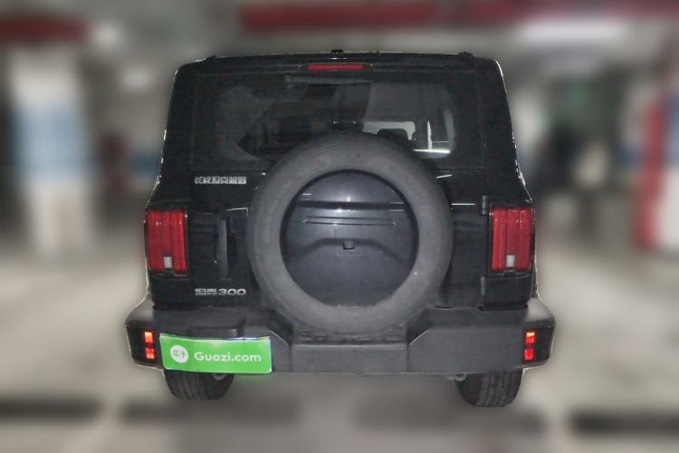 Used Tank 300 2024 2.0T Conqueror Exterior 4