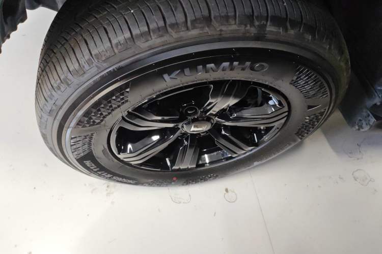 Used Tank 300 2024 2.0T Conqueror Exterior 4