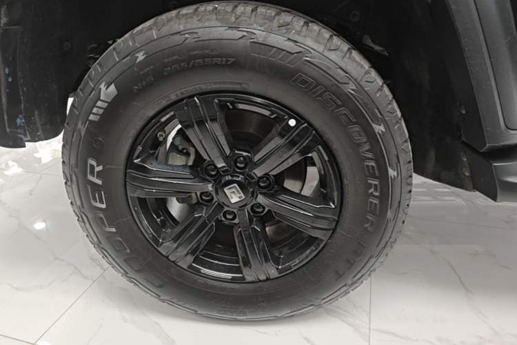 Used Tank 300 2024 2.0T Conqueror Exterior 5