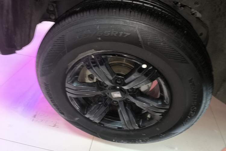 Used Tank 300 2024 2.0T Conqueror Exterior 5