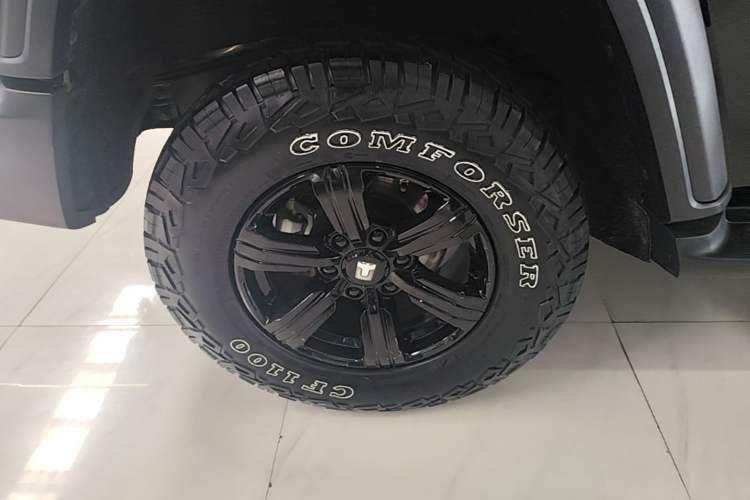 Used Tank 300 2024 2.0T Conqueror Exterior 5