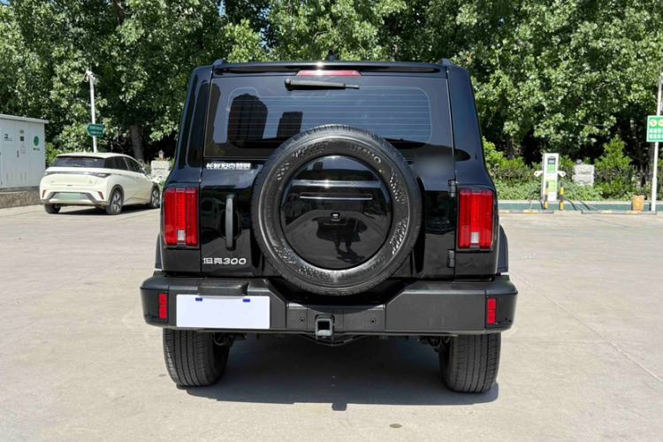 Used Tank 300 2024 2.0T Conqueror Exterior 5