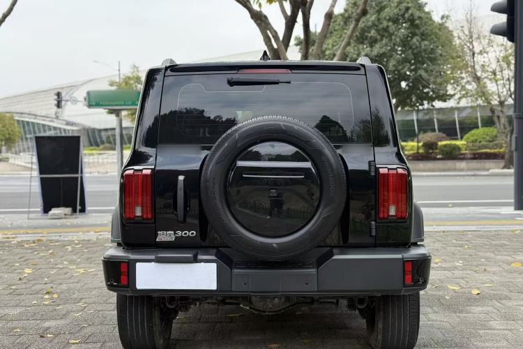 Used Tank 300 2024 2.0T Conqueror Exterior 5