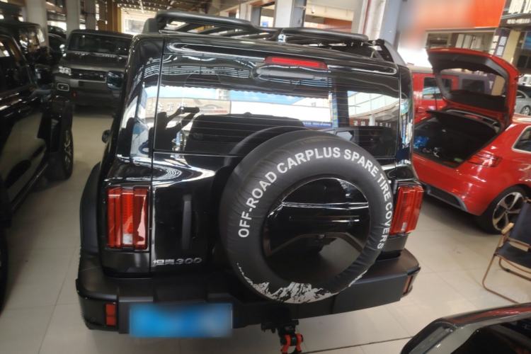Used Tank 300 2024 2.0T Conqueror Exterior 5