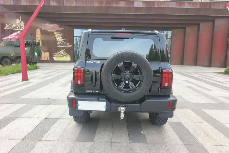 Used Tank 300 2024 2.0T Conqueror Exterior 5