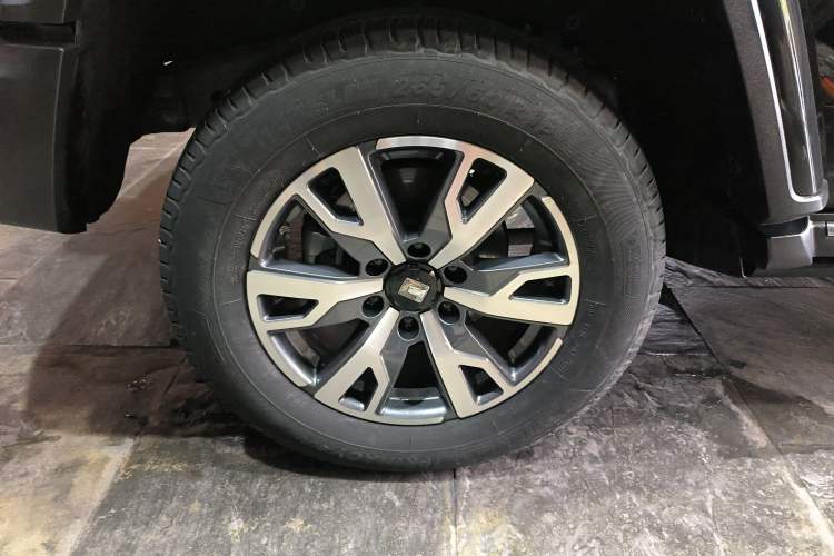 Used Tank 300 2024 2.0T Crosser Exterior 5