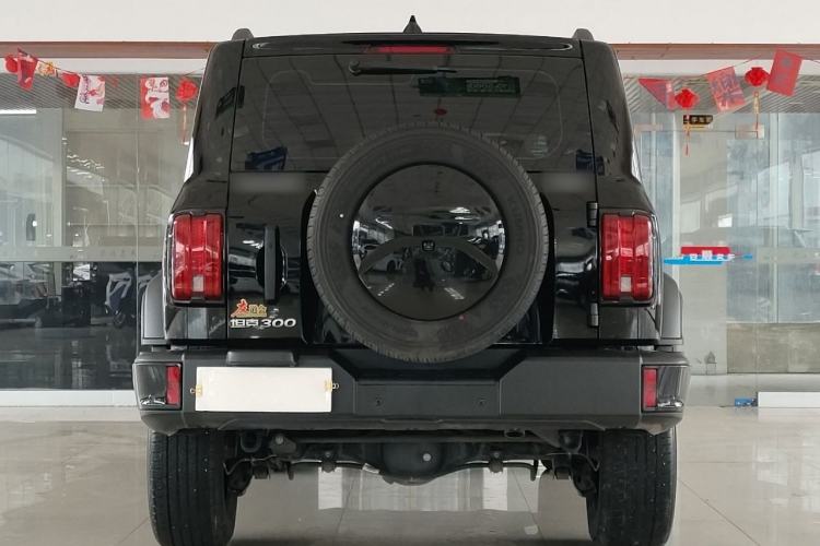 Used Tank 300 2024 2.0T Conqueror Exterior 6