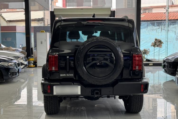 Used Tank 300 2024 2.0T Conqueror Exterior 7