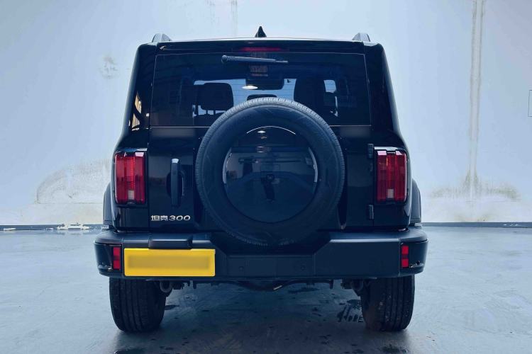 Used Tank 300 2024 2.0T Conqueror Exterior 9