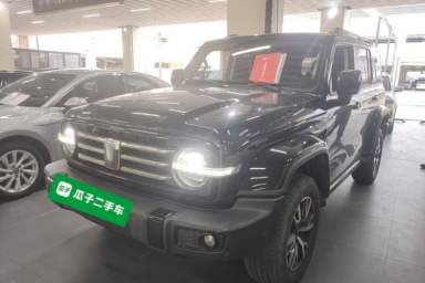 Used Tank 300 2024 2.0T Crosser