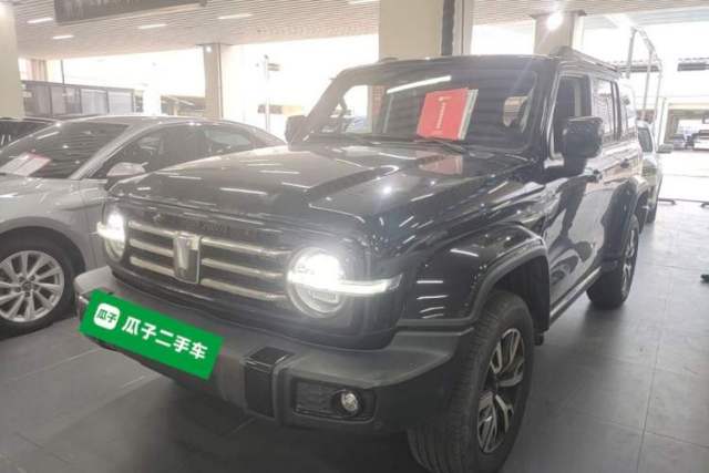 Used Tank 300 2024 2.0T Crosser