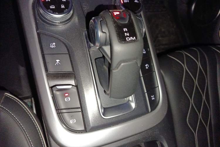 Used Tank 300 2024 2.0T Challenger Gear Lever