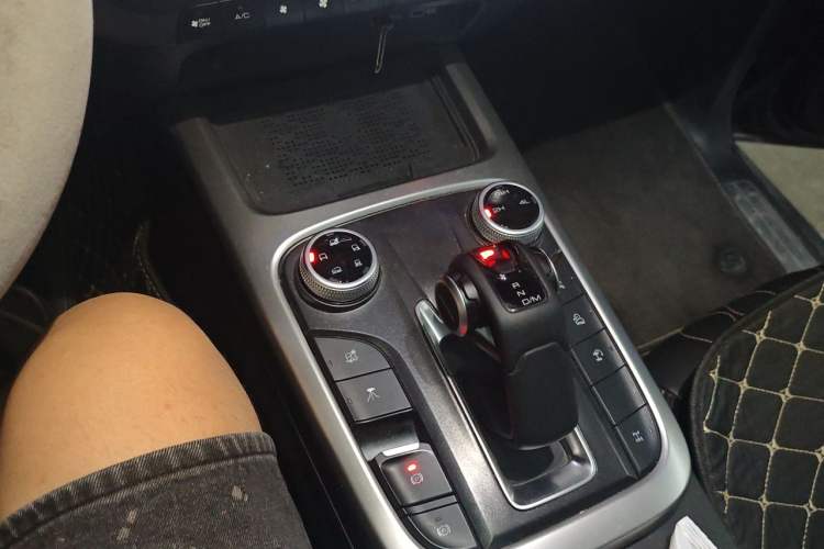 Used Tank 300 2024 2.0T Challenger Gear Lever