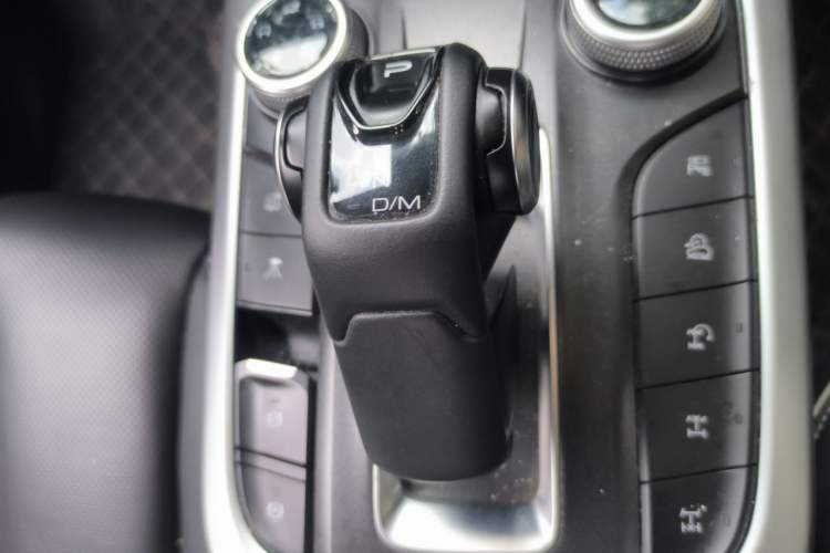 Used Tank 300 2024 2.0T Conqueror Gear Lever