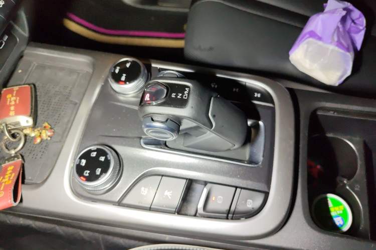 Used Tank 300 2024 2.0T Conqueror Gear Lever