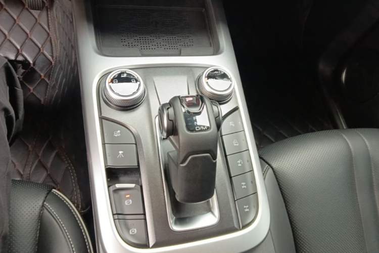 Used Tank 300 2024 2.0T Challenger Gear Lever
