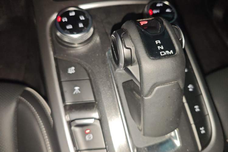 Used Tank 300 2024 2.0T Conqueror Gear Lever