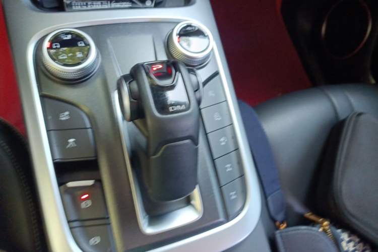 Used Tank 300 2024 2.0T Conqueror Gear Lever
