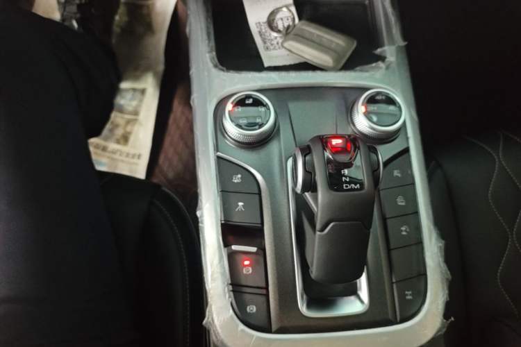 Used Tank 300 2024 2.0T Challenger Gear Lever