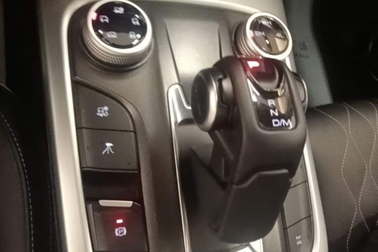 Used Tank 300 2024 2.0T Challenger Gear Lever