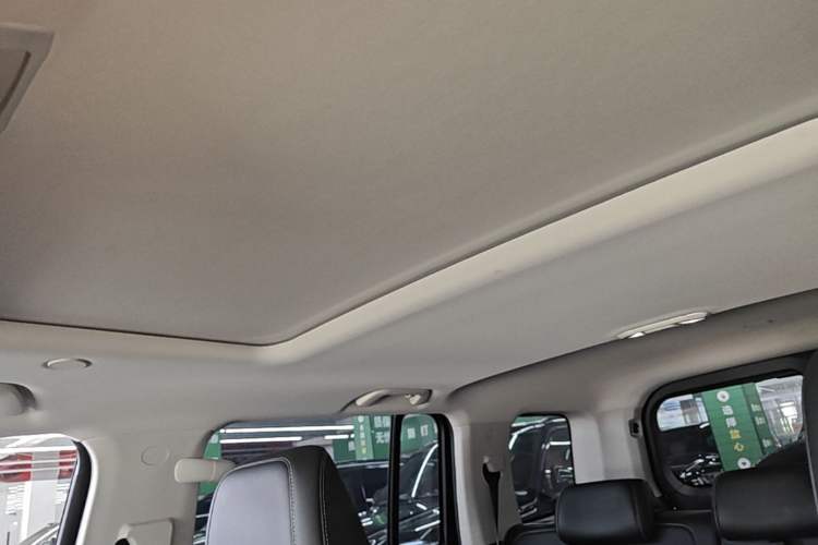 Used Tank 300 2024 2.0T Crosser Headliner