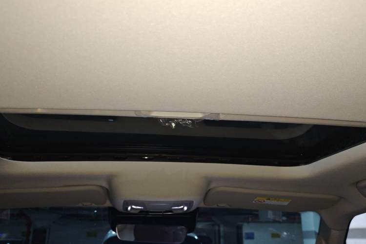 Used Tank 300 2024 2.0T Challenger Headliner