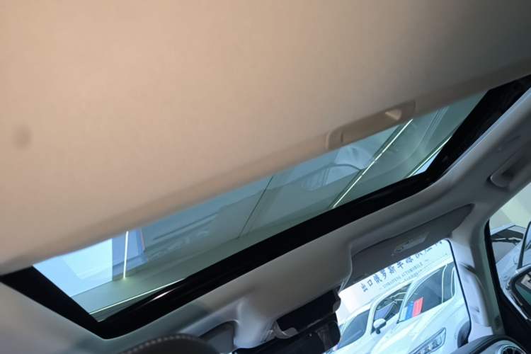 Used Tank 300 2024 2.0T Crosser Headliner