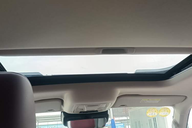 Used Tank 300 2024 2.0T Conqueror Headliner
