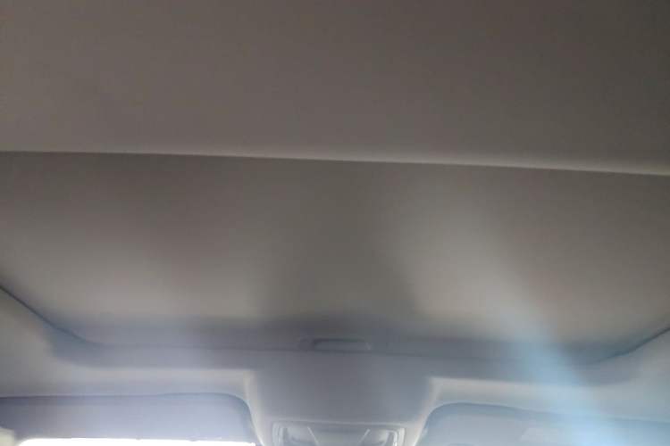 Used Tank 300 2024 2.0T Conqueror Headliner