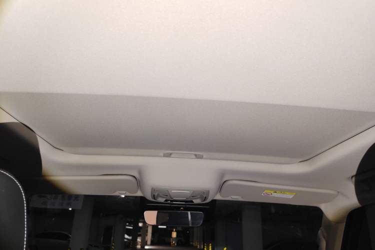 Used Tank 300 2024 2.0T Conqueror Headliner