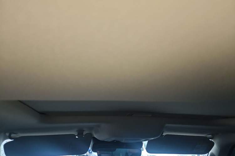 Used Tank 300 2024 2.0T Conqueror Headliner