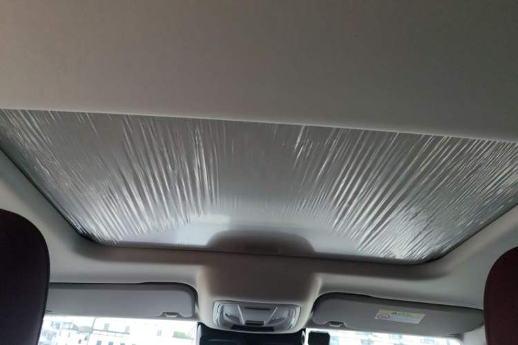 Used Tank 300 2024 2.0T Conqueror Headliner