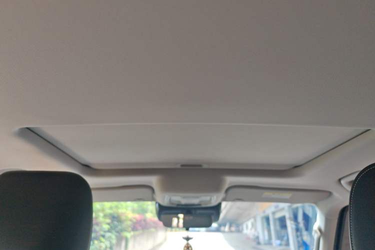 Used Tank 300 2024 2.0T Challenger Headliner