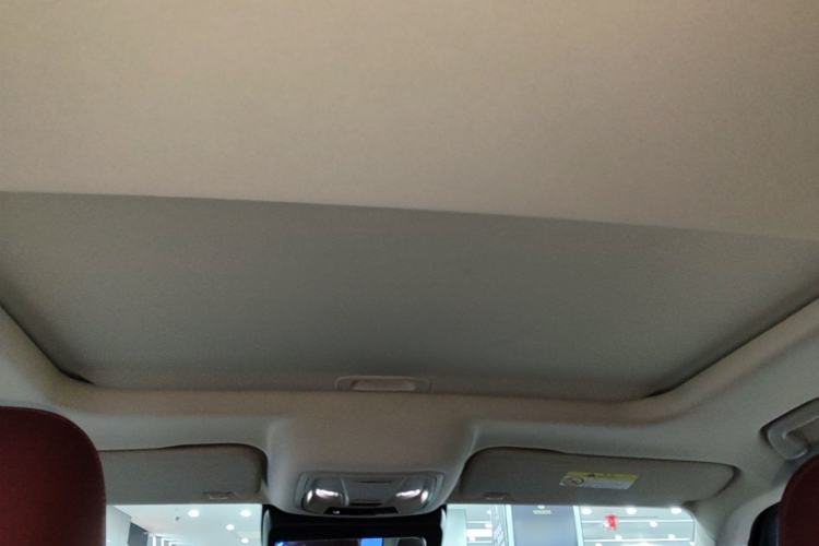 Used Tank 300 2024 2.0T Conqueror Headliner