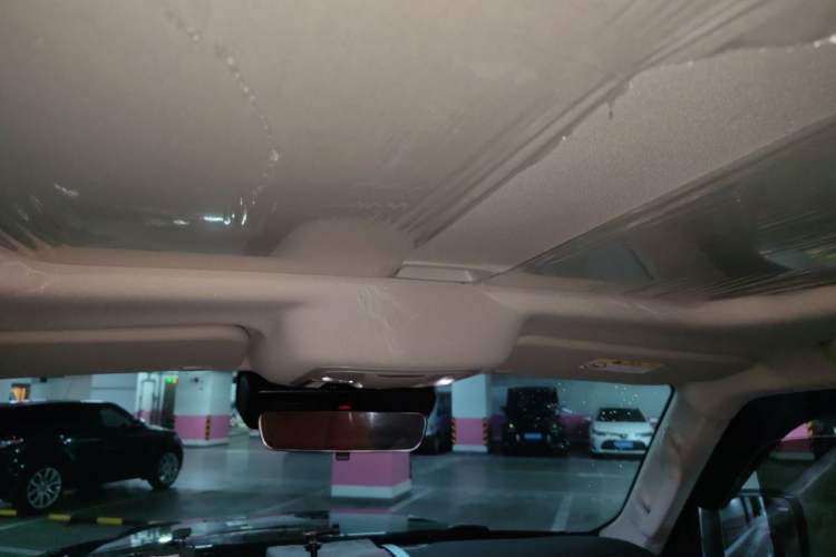 Used Tank 300 2024 2.0T Conqueror Headliner