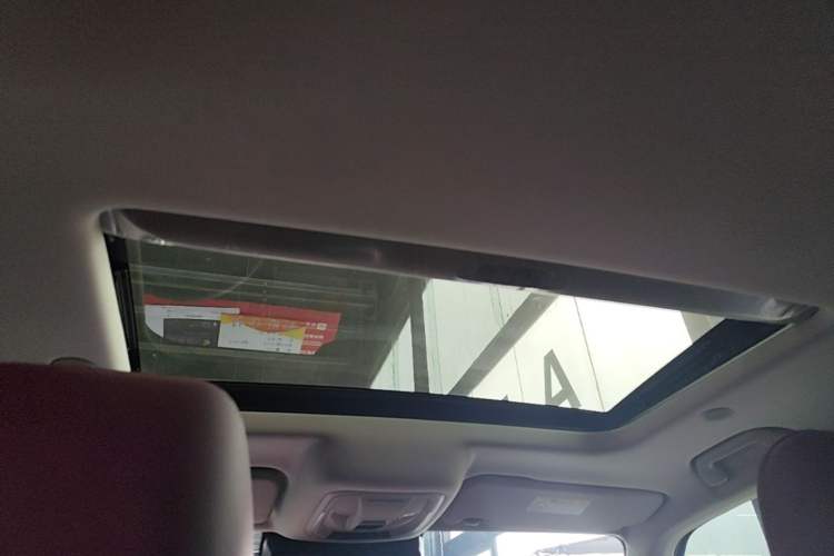 Used Tank 300 2024 2.0T Crosser Headliner
