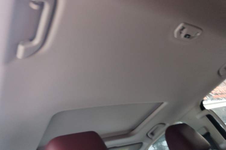 Used Tank 300 2024 2.0T Conqueror Headliner
