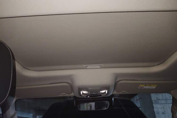 Used Tank 300 2024 2.0T Crosser Headliner