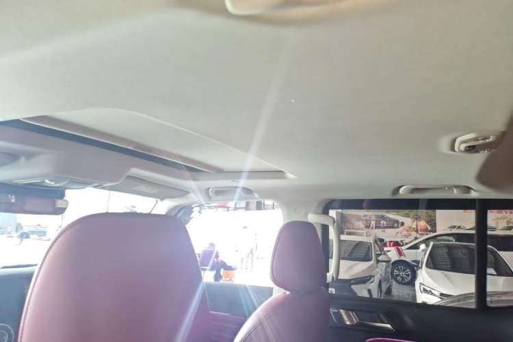 Used Tank 300 2024 2.0T Crosser Headliner