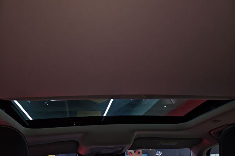 Used Tank 300 2024 2.0T Crosser Headliner