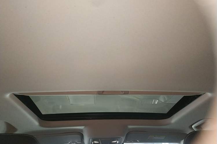 Used Tank 300 2024 2.0T Conqueror Headliner