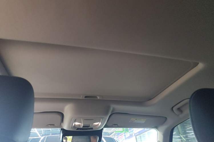 Used Tank 300 2024 2.0T Conqueror Headliner