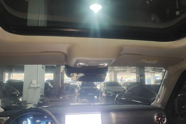 Used Tank 300 2024 2.0T Conqueror Headliner