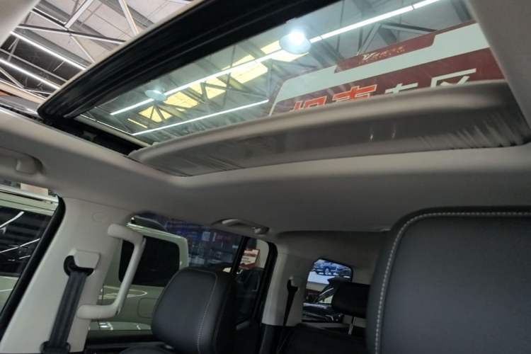 Used Tank 300 2024 2.0T Conqueror Headliner
