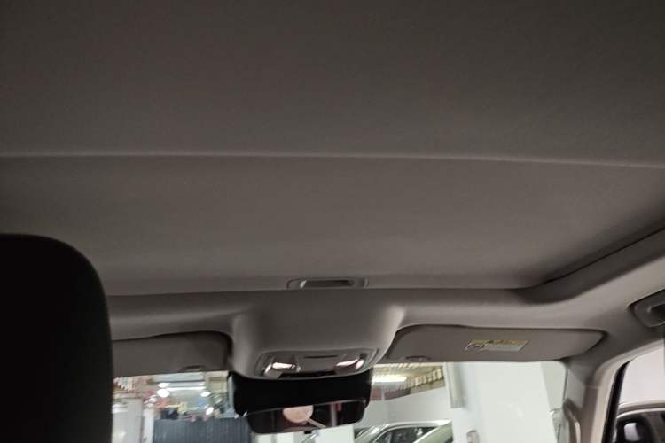Used Tank 300 2024 2.0T Conqueror Headliner
