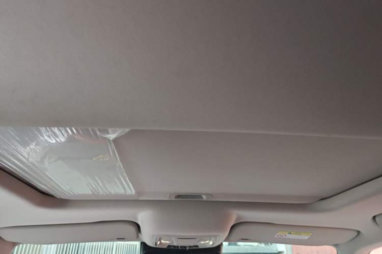 Used Tank 300 2024 2.0T Challenger Headliner