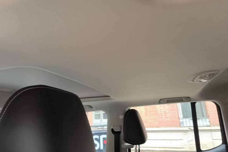 Used Tank 300 2024 2.0T Challenger Headliner